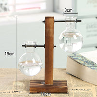 Load image into Gallery viewer, Hydroponic Transparent Plant Vases