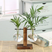 Load image into Gallery viewer, Hydroponic Transparent Plant Vases