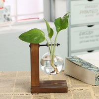 Load image into Gallery viewer, Hydroponic Transparent Plant Vases