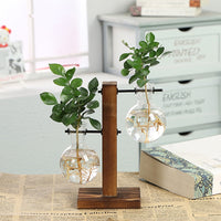 Load image into Gallery viewer, Hydroponic Transparent Plant Vases