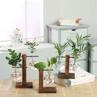 Load image into Gallery viewer, Hydroponic Transparent Plant Vases